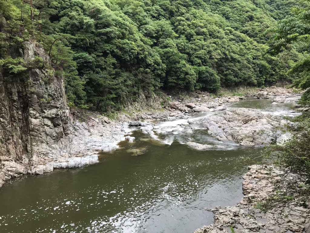 自然豊かな武庫川渓谷